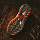 adidas 阿迪达斯高尔夫球鞋男ADIZERO ZG BOA防滑防泼水运动鞋 25年新款 【旋钮款】IH9896 白/红/一号黑 42.5 码