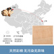 蒂乐婴儿尿布纯棉新生儿秋季可洗初生宝宝纱布尿片介子戒子可水洗 彩棉尿布10条 10片装 70*50