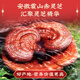 Peking Tongrentang Break Wall Ganoderma lucidum spore pulver Geschenkbox Huoshan Red Ganoderma lucidum organisches Sporenpulver Geschenk 200 g für Älteste, bitte geben Sie sich 90 Säcke mit Konsolidierungsimmunität