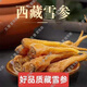 【1283人收藏】藏雪参雪人参雪参无添加煲汤泡酒大条正宗原产中药 天然藏雪参100.89克