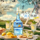 Bayigoer Ausländische Weinzubereitung Wein 21 blau orange aromatisierte Weinbasis Wein Cocktail Dragon Boot Festival Party Single Branch 700ml
