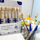 Sams erwachsene weiche Borstenbolembürste Hausdekoration Haushaltsgummischutz kleiner breiter Kopf Sams Zahnbürste 1 Box (Gesamt) 6 Teile