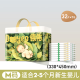 Deyou orina separador almohadilla de orina de orina almohadilla desechable separador de orina almohadilla recién nacida almohadilla de cuidados transpirables m Código 32 tabletas [2-5 meses 33*45cm]