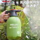 DELIXI ELECTRIC sprayer watering flower kettle air pressure flower watering kettle large capacity household cleaning and disinfection ultra-fine mist spray kettle green 2 liter air pressure watering kettle (with scale)