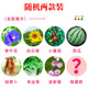 植物盲盒小盆栽绿植幼儿园小礼物室内种植蔬菜种子小学生桌面观察 植物盲盒【随机2盒】