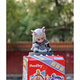 Я хочу купить подлинную коробку продукта Ifoodtoy Nezha: Devil Child's Ao Crazy Candy Toy Bodel B (сидя и стоя), чтобы открыть сумку и подтвердить, что вы не против,