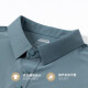 Lomon Lomon Polo T-shirt à manches courtes pour hommes à manches courtes Mentes Médien Business Silk Casual Summer Thin Malfreved 1421 Bleu ciel + 1421 Grey Green One Taille M