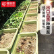 爱丽思花盆塑料花盆特大号树脂种菜蔬菜水果种植盆加厚带排水孔 680