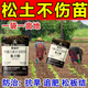 Bud power, plowing deeply to 5 meters, loosening essence, soil activator, loosening agent, preventing hardening, improving soil, regulating acid and alkali, 1 bag per acre, powerful loosening essence