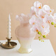 Fan Yejia's light luxury two-color glass vase, high-end decoration, living room flower arrangement ins Feng Shui flower raising art decoration decoration