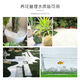 Runhuanian micro landscape white pebbles Yuhua stone succulent plant paving stone fish tank flower pot decoration small stones 1Jin Jin is equal to 0.5 kg (6-9mm) white pebbles