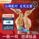 Peking Tongrentang ausgewählte authentische Seepferdchen-Trockenwaren, ein Paar Wein mit Wein ausgewählt, Suppenzutaten, Seepferdchen-Trockenwaren, frisch getrocknet, um Nicht-Kidney-Nahrungsergänzungsmittel zu nähren, zehn Packungen [natürlicher luftgetrockneter Seahorse) Qualität (männliche und weibliche Kombination Ernährung Doppel)