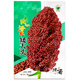Dwarf wine glutinous sorghum king super-ton iron dwarf big-head red sorghum seed dwarf bird-resistant brewing type high-yield sorghum ton-beam short big-head sorghum 50 grams