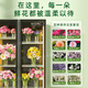 Kadish flower shop commercial flower preservation cabinet large capacity air-cooled flower preservation refrigerator flower freezer flower refrigeration preservation cabinet flower freezer display cabinet flower cabinet preservation cabinet high-end large double door no need for drainage three light switching