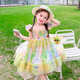 Girls Skirt Summer 2025 New Style Children's Dress Sleeveless Summer Princess Dress for Little Girls Super Beautiful Picture Color 120 cm