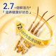 Dongyangguang Cordyceps sinensis 3-4 roots/g4 roots tonic gift box Cordyceps nutritional supplements for elders