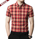 Chiarmania Shirt à manches courtes Mulberry Mulberry Silk Plaid Plaid à mi-manche