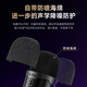 Taidu TSP207 Desktop Microphone Computer Anchor Live Microphone Special Noise Reduction E-Sports Game Conference Recording Voice USB Condenser Microphone Desktop Laptop Karaoke Online Class USB Version TSP207 Computer Special + Monitoring Headset