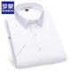 
ROMON (ROMON) anti-warm cotton short-sleeved shirt for men in summer new casual business workwear formal top shirt for men DX6625 anti-warm and iron fabric 39