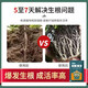 Rooting powder, universal plant rooting agent, fruit tree transplanting rooting agent, cutting nutrient solution, flower fertilizer, rapid rooting solution, buy 3 get 2 free, powerful rooting powder, universal type, 5 bags
