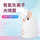Mofantu facial steamer nano spray hydrating artifact facial open pores hot spray household facial steamer moisturizing 904 red single hot spray