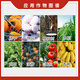 Guoguang Guoguang ripening agent ethephon agent cotton tomato persimmon rice banana cotton growth regulator 1kg