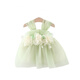 Luanquexiang one-year-old girl's clothing children's clothing girls summer suspender dress vacation dress children's baby flower fairy dress light green one-year-old girl's clothing 73 CM