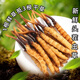 
Luzhangtang 2025 Fresh Cordyceps sinensis Cordyceps SF Express Cold Chain Origin Selected Fresh Grass Selected for Tibet Fresh Cordyceps 1.2-1.4 grams each. 50 pieces