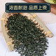 Zhixuantang gynostemum blau echt wild spezieller xinjiang tea qingqian Liupingli Tee Traditionelle chinesische Medizin Robu Ma Gynostemum (1 Beutel) Gynostemum Blau (insgesamt 50 kleine Pakete)