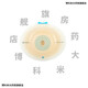 Coloplast 16951 Shengshu MIO/16971 Zweiteilige Ostomie-Tasche Deep Convex Chassis Bag 11452 Krankenhaus wie in einem vollen Monat] 10 16961 Chassis + 30//