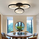 OPPs neue Decke im chinesischen Deckenleuchter LED LED LIGHT ZEN ZEN ZEN ZEN Schlafzimmer moderne einfache und atmosphärische Heimatlampe 0W 0W 0 interne geeignete 0LM 6623-3 Kopf Drei Farben