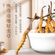 Beijing Tongrentang Raw Material Plateau Cordyceps sinensis (Specifications 2-3 roots/g) Authentic Cordyceps sinensis Non-broken grass gift box 2-3 roots/g About 7-9 roots [Not given] Net content 3 grams