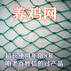 Chicken net, chicken net, fishing net, breeding net, fence net, nylon vegetable garden fence, climbing vine grid, chicken net, protective fish net, thickened 18 strands, 3 cm, thickened ribs, 1.5 meters high, 10 meters long