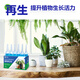 Plant Regeneration Agent Concentrated Nutrient Solution for Potted Flowers and Green Plants Universal Rotten Root Yellow Leaves Dead Tree Bare Stem Regeneration Liquid Fertilizer 3 boxes of 18 pieces (2 get 1 free)