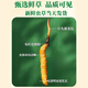 Frischer Cordyceps sinensis Vakuumverriegel