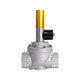 Camus Gas Large Magnet Soupape V4295A1049 ACCESSOIRES DE COULEUR