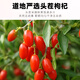 Beijing Tongrentang Special Red Wolfberry Dried Ningxia Authentic Sulphur-free Wild Buying Tea, Wine and Soup to Boil the Liver. Buy 1 Free [250g] 1 Can of Special Big Fruit Red Wolfberry 2025 New Product First Organic Wolfberry