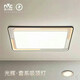 Leshi Lighting 2025 Neues Geschäft Guanghui WCX11965 Wohnzimmerlichter Home Schlafzimmer Deckenleuchte modern