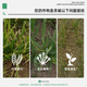 Lezhuangfeng 28 epibrassinolide plant growth regulator to strengthen seedlings, foliar fertilizer, promote flower growth, and eliminate drug damage 1000ml bottle