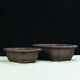 Yixing purple clay flower pot classical ceramic pot succulent pot flower old pile tree planting four square bonsai pot orange red 848 small purple clay