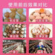 Factory direct sales of high calcium shell powder, clam shell powder to prevent soft eggs from being laid, calcium supplement to feed pigeons, chicken feed thickness, shell powder 1-2mm small particles (specialized to prevent egg pecking, calcium supplement 40Jin Jin is equal to 0.5 kg
