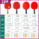 729友谊乒乓球拍单品三星四星初学者兵乓球拍横拍直乒乓 二星【2球+2膜+1拍套】 直拍