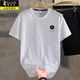 Woodpecker Light Luxury Ice Silk T-shirt à manches courtes Men de couleur masculine Modèle de couleur Solite Européenne Nouveau style décontracté Cool Round Round Cold Court-manche Men Q6628 Café L (suggéré 115-135jin [Jin est égal à 0,5 kg]))