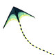 
Hanhan Paradise Kite Adult Children Weifang Large Extra Large Grassland Kite Parent-Child Outdoor Toys Children's Day Gift