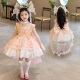 Vestido de princesa de la niña hormiga Lolita 2025 NUEVO SUMER CHILLE's Fair Fair Dress Vestido de cumpleaños para niñas Rosa (6630 Flower Fairy Vestido + Soporte de falda) 140 Recomendado 7-8 años (aproximadamente 135 altura)