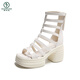 Woodpecker European Station Hollow High Heel Roman Shoes Women's 2025 Summer New Open-toe Waterproof Platform Rear Zipper Thick Heel Sandal Brown HS1389 34