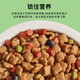 He Jian Gong dog food big bag 40 Jin Jin is equal to 0.5 kg 20 Jin Jin is equal to 0.5 kg 10 Jin Jin is equal to 0.5 kg 5 Jin Jin is equal to 0.5 kg Universal type for all dog stages, adult dogs, puppies, all dog breeds, universal large dogs, double grain meat grains, universal for all dog breeds, 5kg10 Jin Jin is equal to 0.5 kg