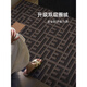 小电兜 XELECPOCKET玄关地毯入户门地垫新款轻奢感进门门口入门地毯耐脏门垫门外 朝暮-14109 80cm*120cm【入户小尺寸】