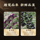 Weishui Honhei Wolfberry Gift Box 360G [Día del Padre] Qinghai Wild Special Class Glyph Berry Tonic para padres mayores