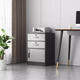 Olin European style filing cabinet office under desk low cabinet information cabinet with lock storage cabinet storage cabinet file storage cabinet simple cabinet